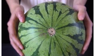 京欣西瓜怎么挑选 西瓜怎么挑