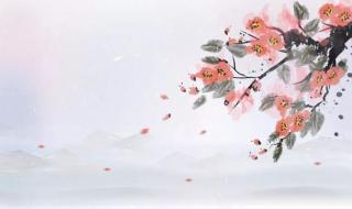 蝉虞世南的意思 蝉古诗虞世南拼音版