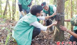 长沙市小动物保护协会有人去过吗 长沙小动物保护协会