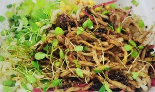 头伏饺子二伏面三伏烙饼啥意思 今日二伏你吃面了吗