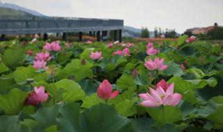 长沙周末去哪玩,想知道长沙周边好玩的地方有哪些 周末去哪玩