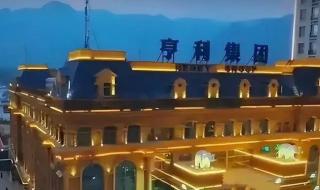 新四大家族 新四大家族