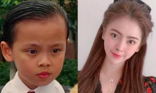 一闪一闪亮晶晶电影主要讲述了什么 一闪一闪亮晶晶电影