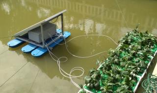 生态浮岛的应用范围 水上人工生态浮岛