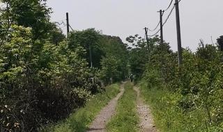 宁波东钱湖环湖公路有多少公里 东钱湖南宋石刻公园