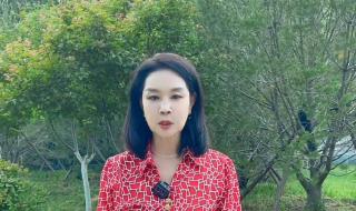 田园晚风主持人资料 田园晚风在线收听