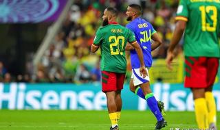 世界杯各大洲各有几个名额 卡塔尔世界杯各大洲区预选赛排名